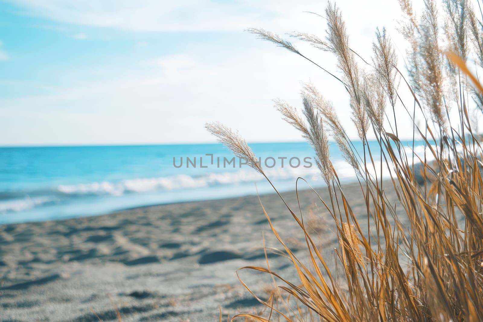 Gentle waves lap at the sandy shore while tall grass sways in the breeze under a clear blue sky at the beach.