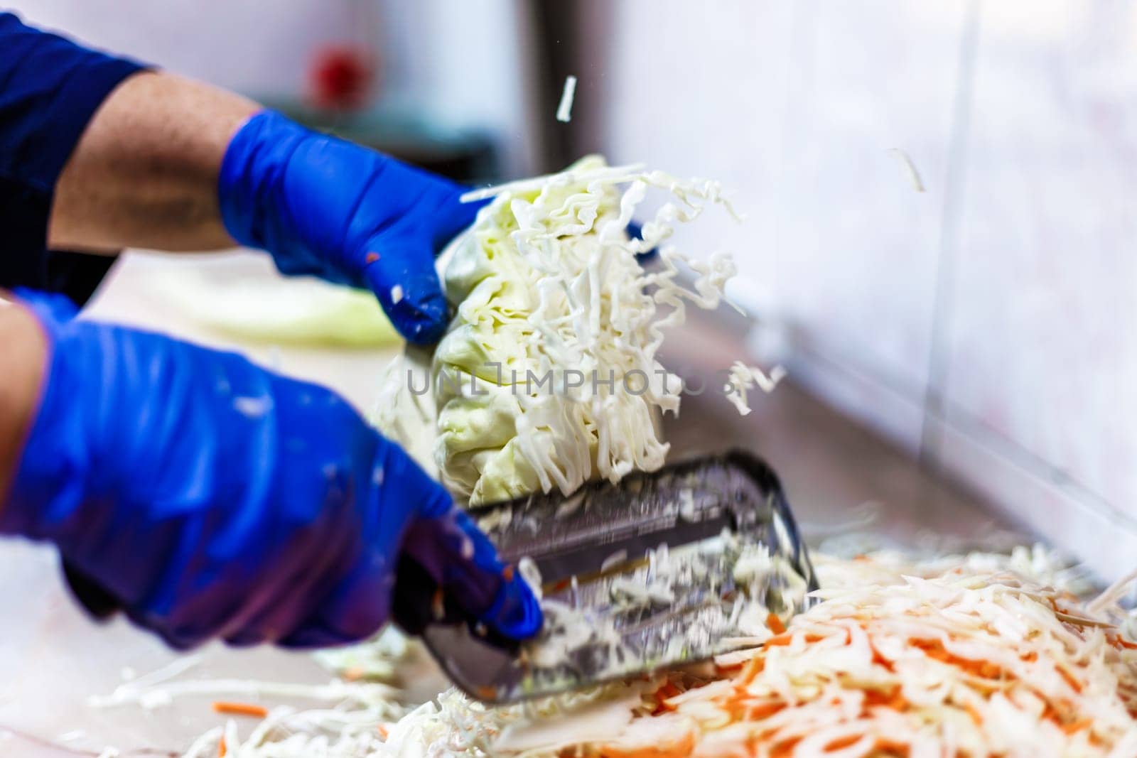 hands in blue gloves cutting cabbage with special double blade slit cabbage shredder knife during sauerkraut preparation