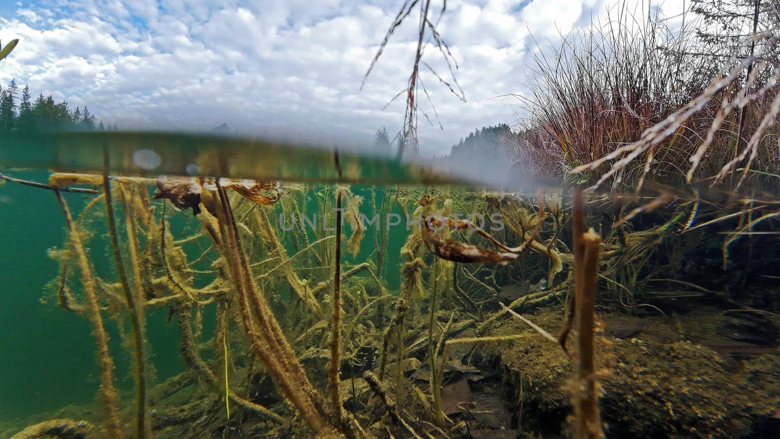 Underwater and above-water image of Lake Frauensee in Tyrol, Austria