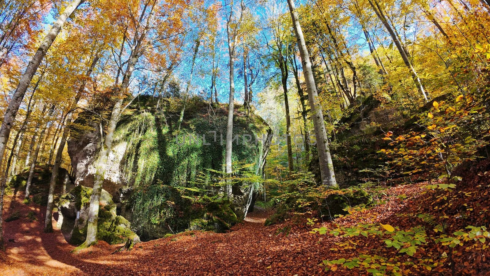 Fantasy picture of the devil's kitchen with stones and trees in the Allgäu