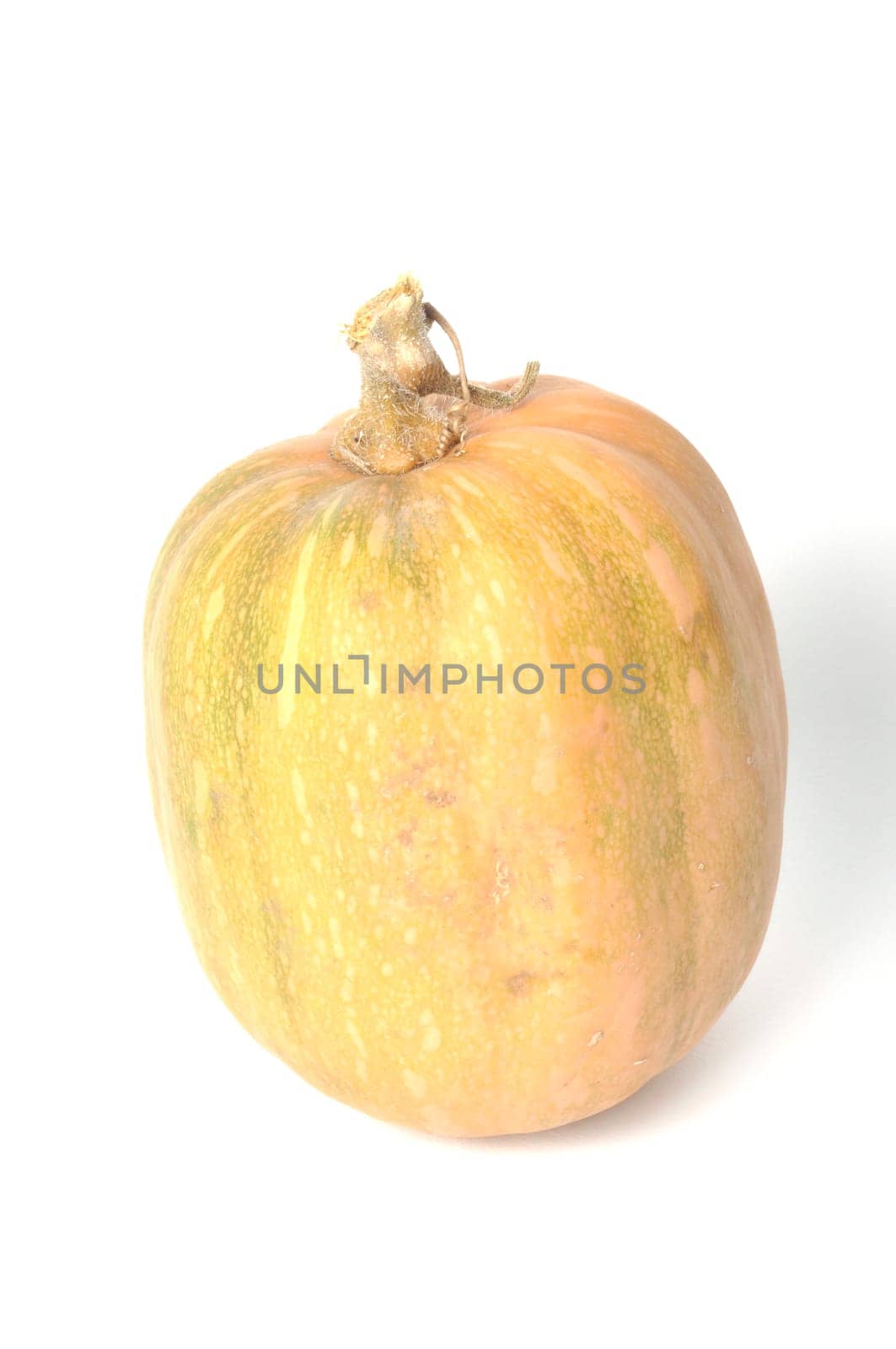 Squash on a white background