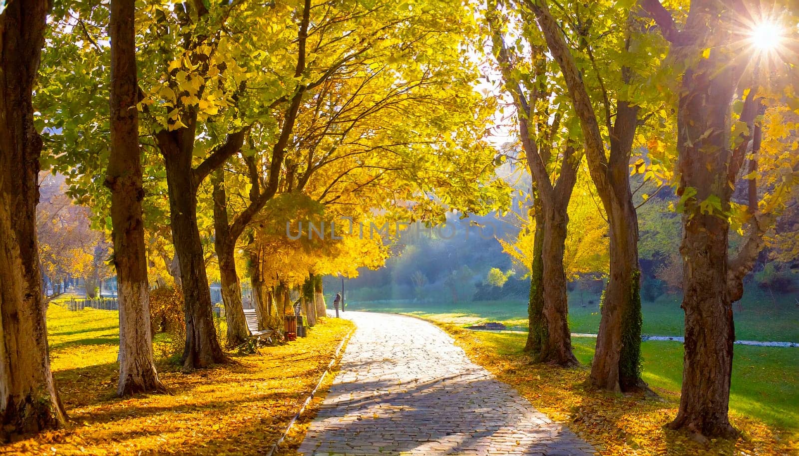 Autumn Pathway With Golden Trees - Generative AI