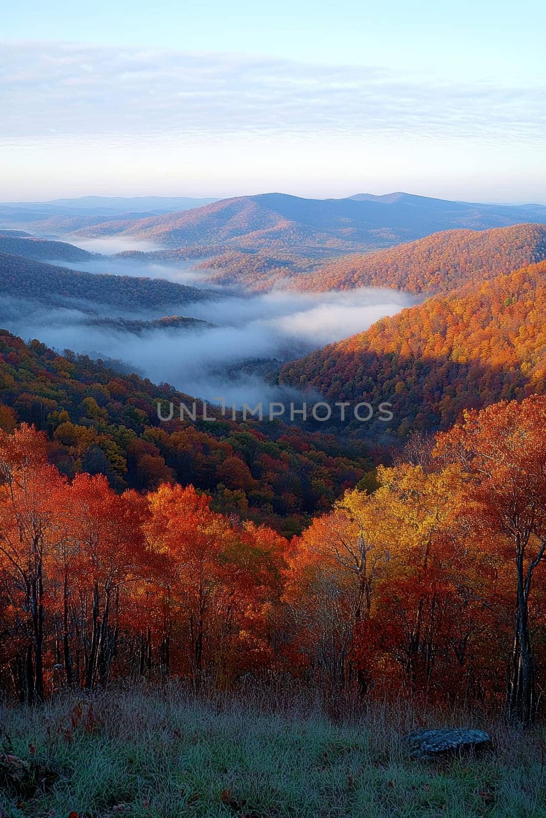 sunlight casting over foggy mountains and an autumn forest. AI generative.