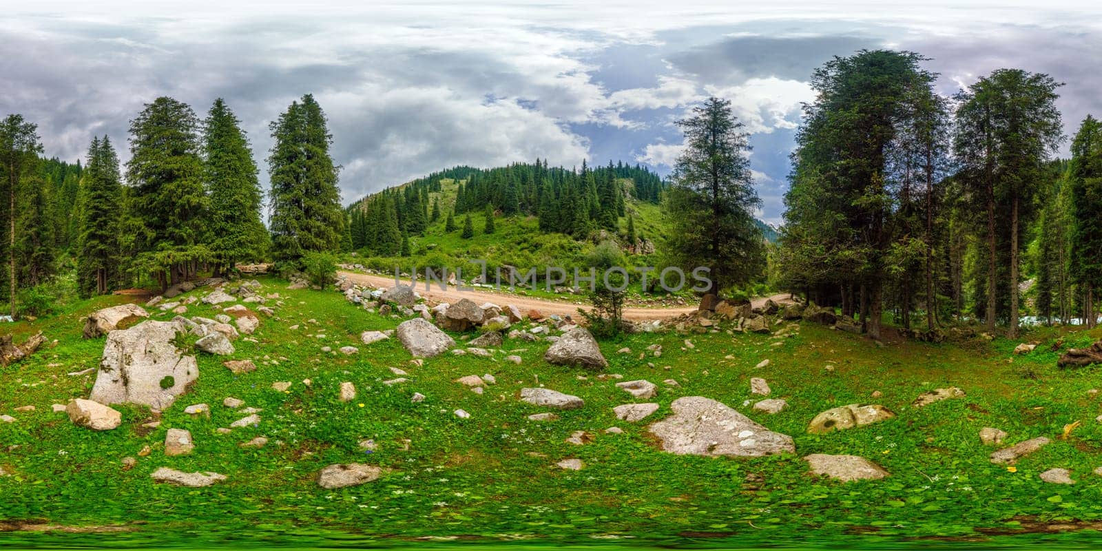 Full 360 degree spherical HDRi panorama of a coniferous forest in a mountain gorge on a cloudy summer day in equirectangular projection.