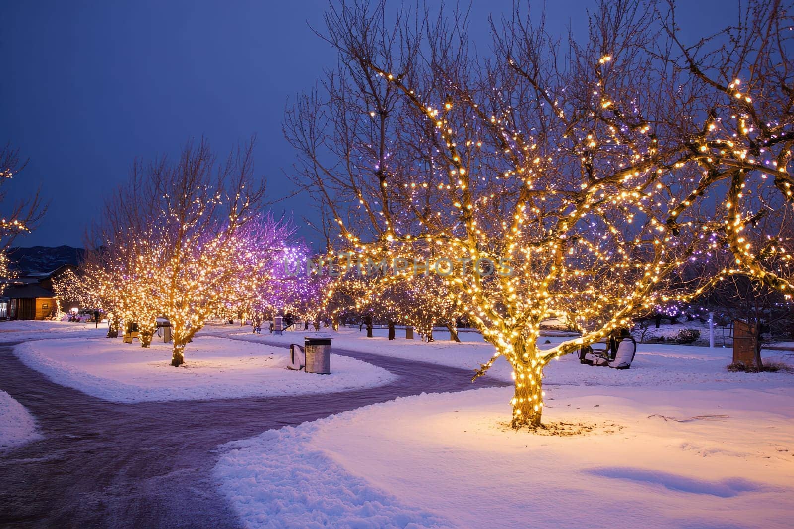 Twinkling lights illuminate bare trees along a pathway covered in snow during a calm winter evening creating a cheerful atmosphere.