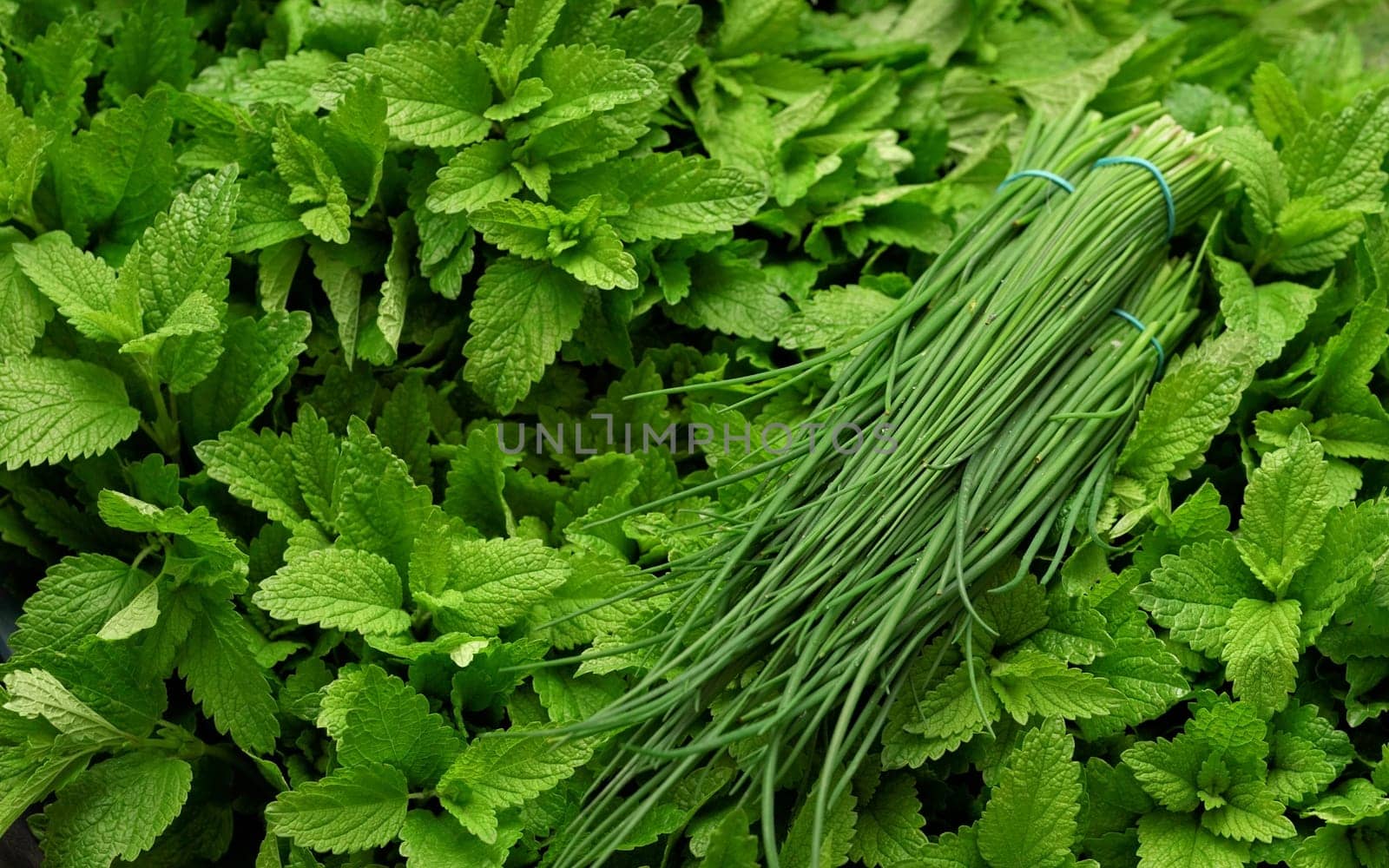 Bunch of chives over bright green mint leaves displayed on herbs market