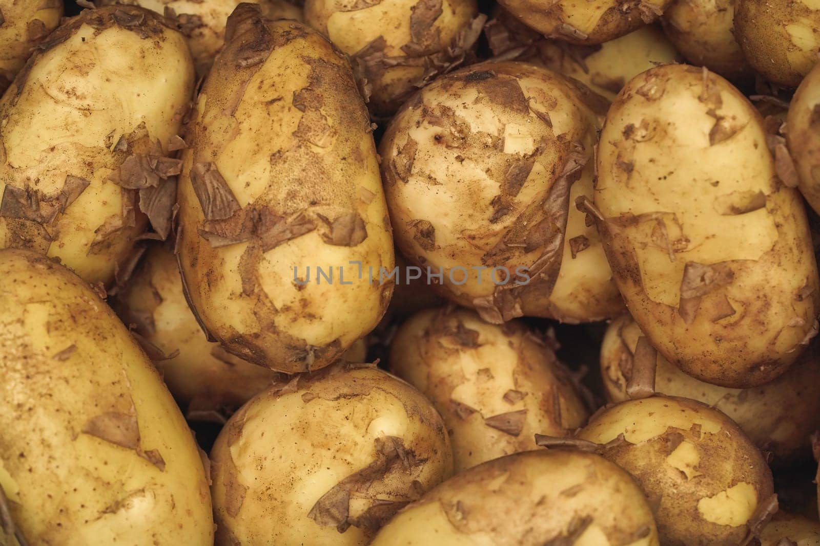 Heap of organic potatoes, some skin peeling naturally, closeup detail from above