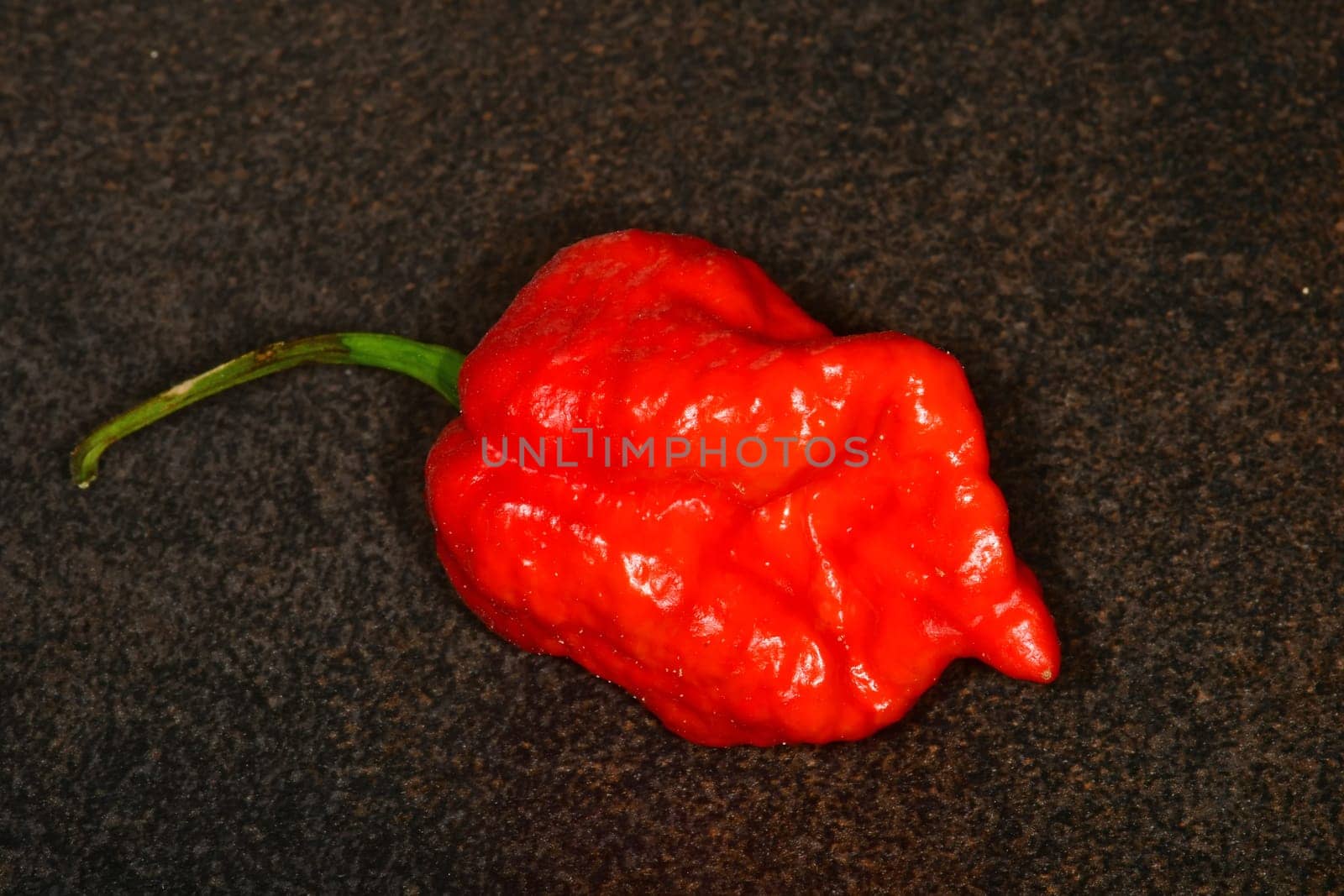 Carolina Reaper, world's hottest chili pepper 2021