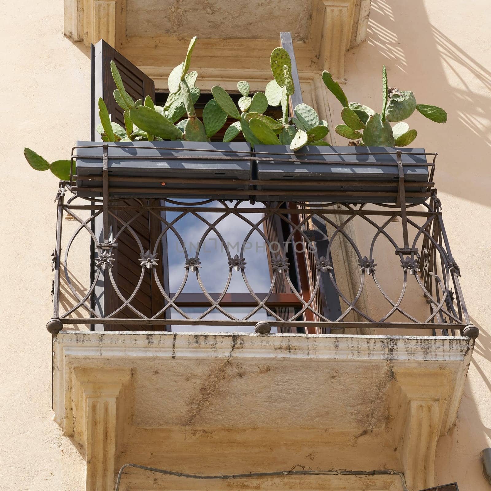 Balcony in the historic old town of Verona in Italy with a prickly pear in summer