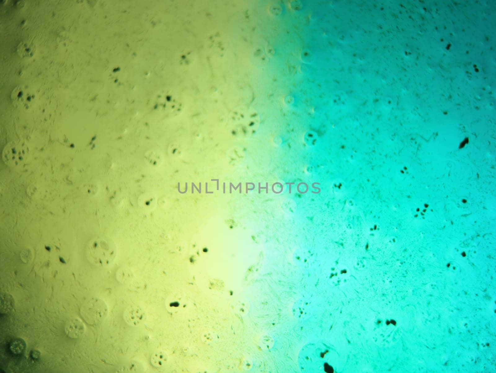 abstract background fantasy illusion rarity imagination virus bacteria sensation