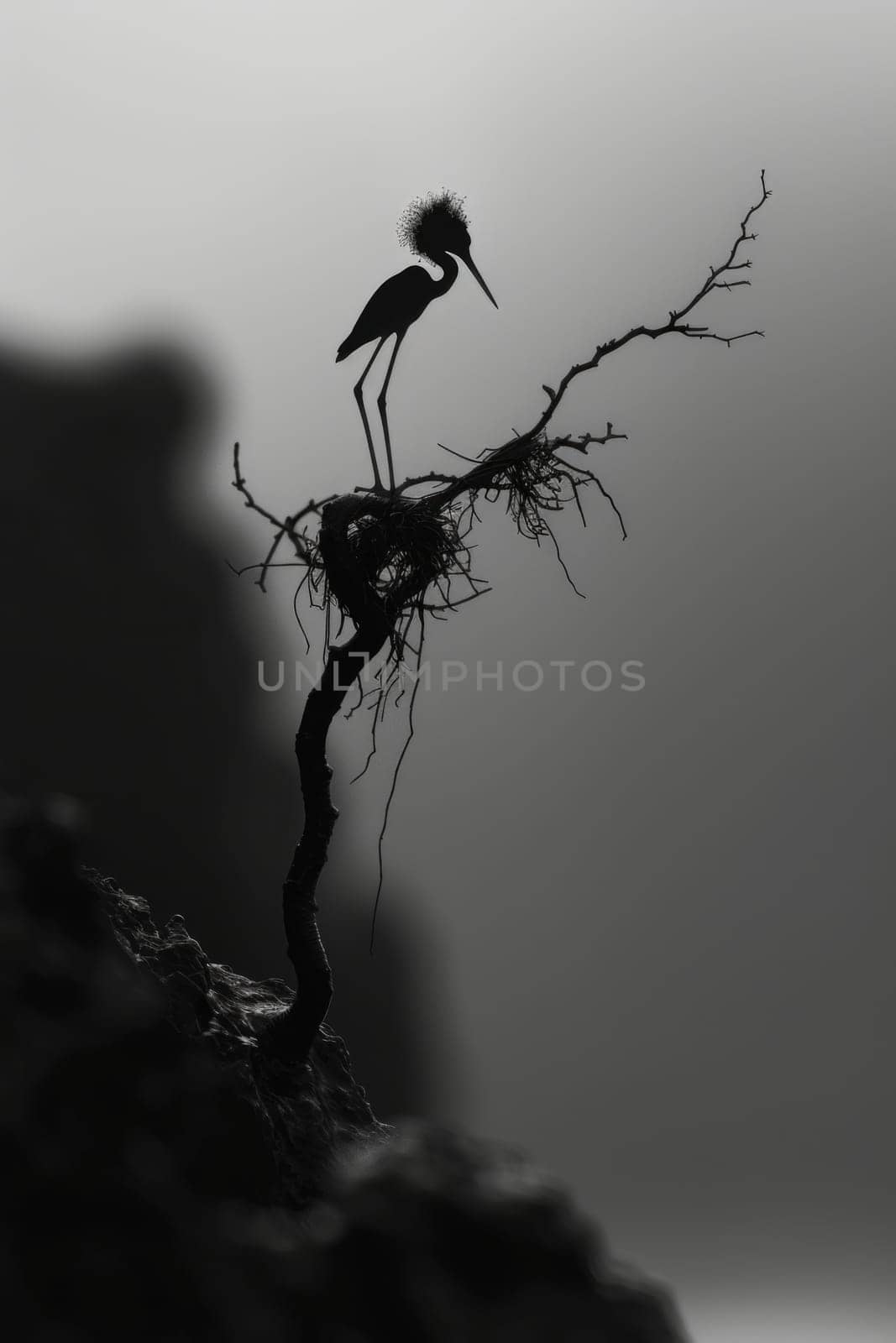 a black and white image of the silhouette of a bird sitting on a tree branch in a nest against a gray foggy background.