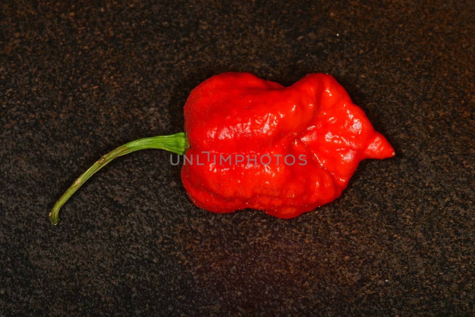 Carolina Reaper, world's hottest chili pepper 2021