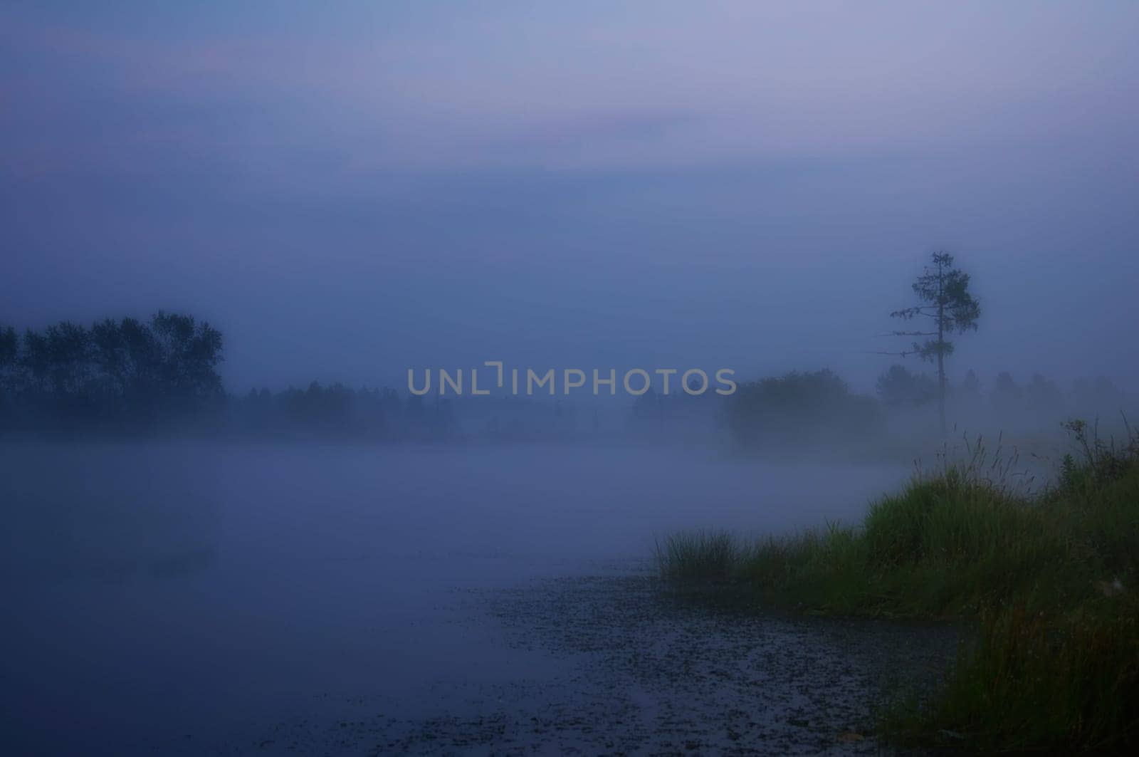 Smoke of mist over the pond. morning mist over the pond.