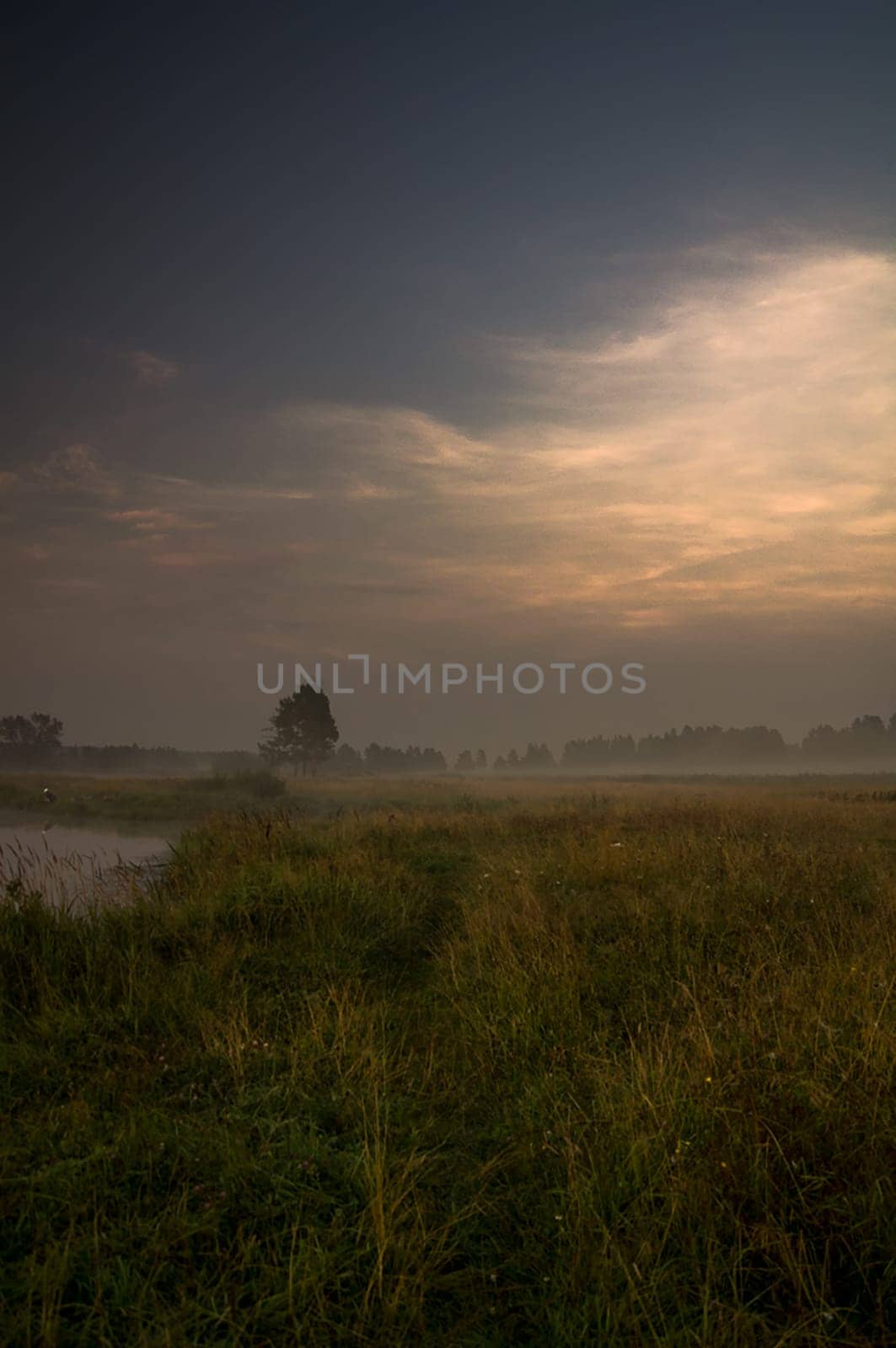 Dawn over the shore of the pond. Morning rays of the sun over the pond.