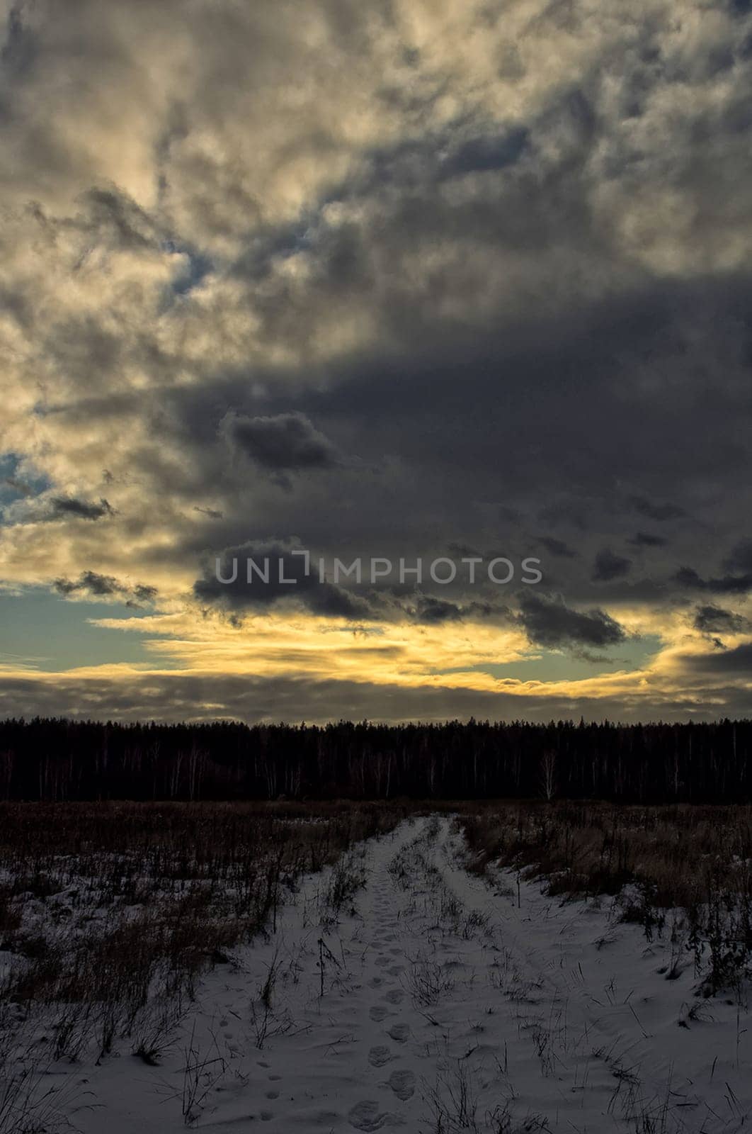 Winter on a grassy field. Russian landscapes in winter.