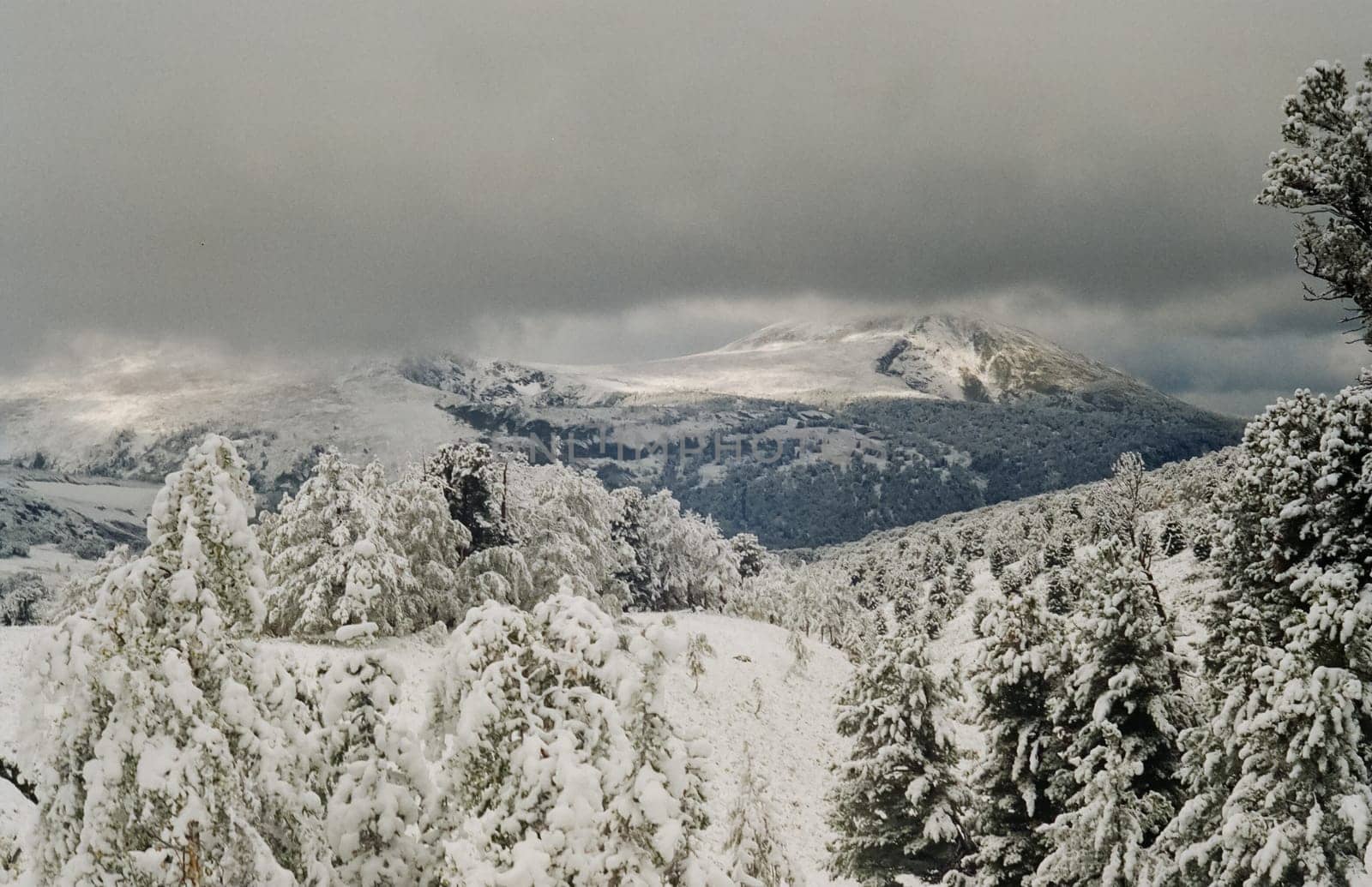 Winter Altai, mountains and forests in the snow. Winter came to the Altai and snow fell.