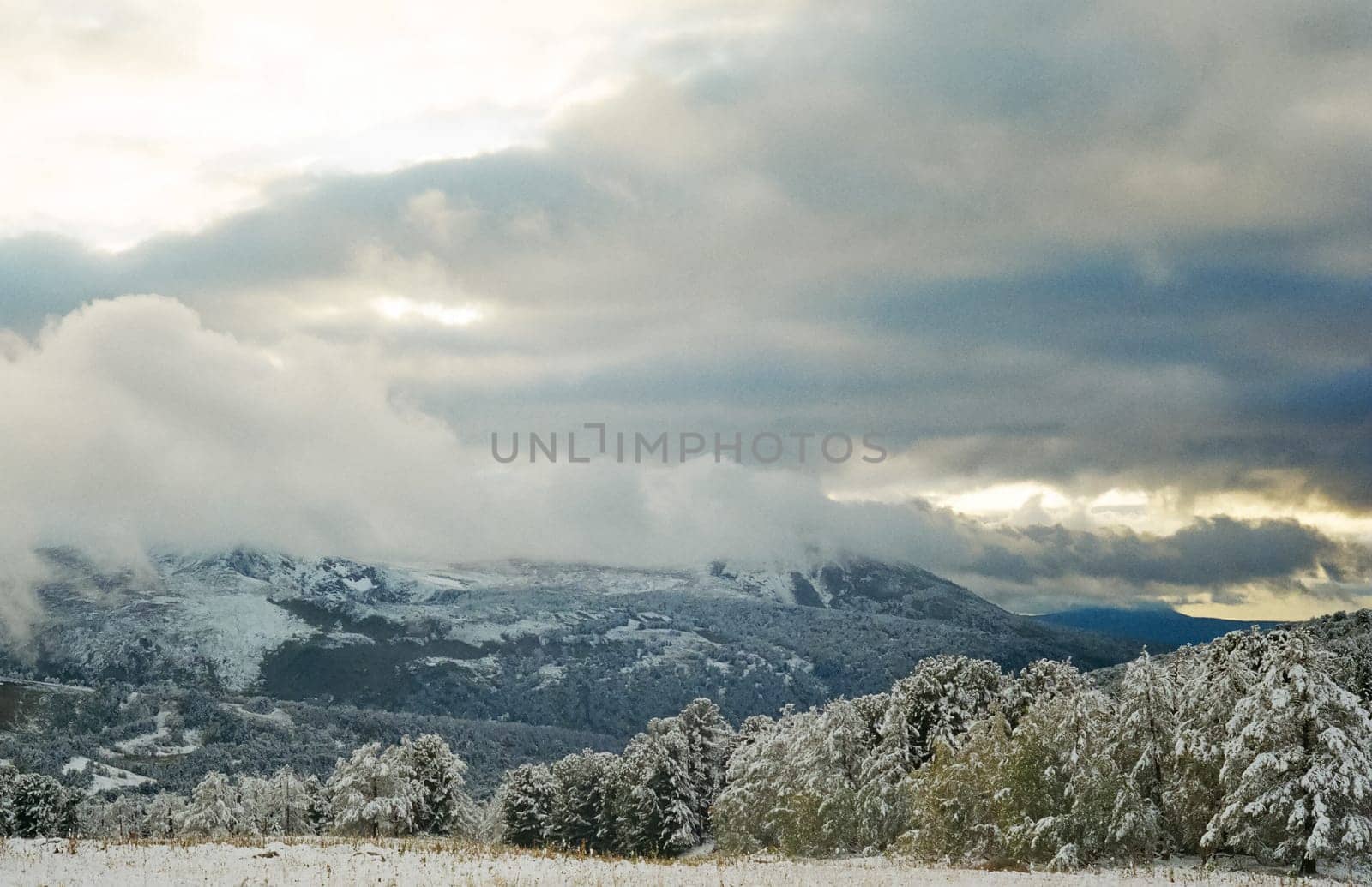 Winter Altai, mountains and forests in the snow. Winter came to the Altai and snow fell.