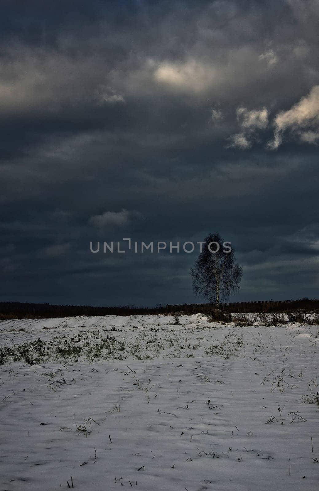 Winter on a grassy field. Russian landscapes in winter.