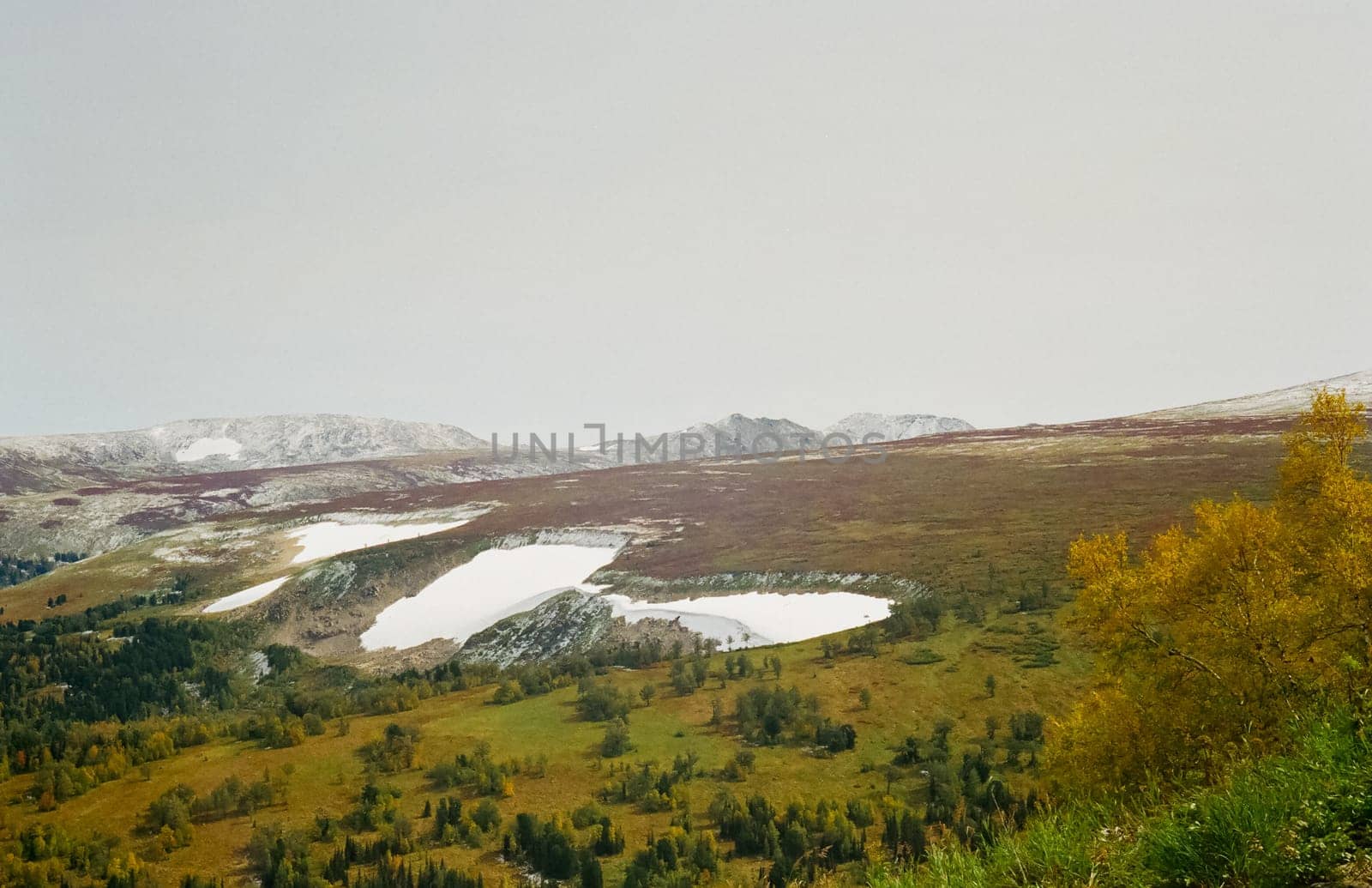 Nature is altai in spring. Melted snow in the mountains.