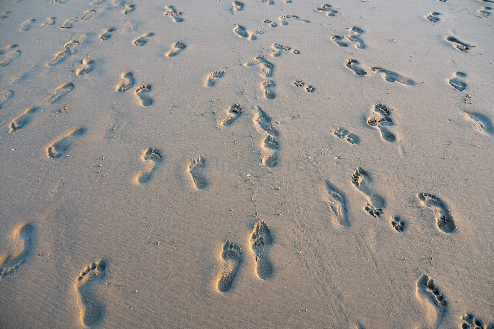 Many footprints in the wet sand by the sea, in the evening light