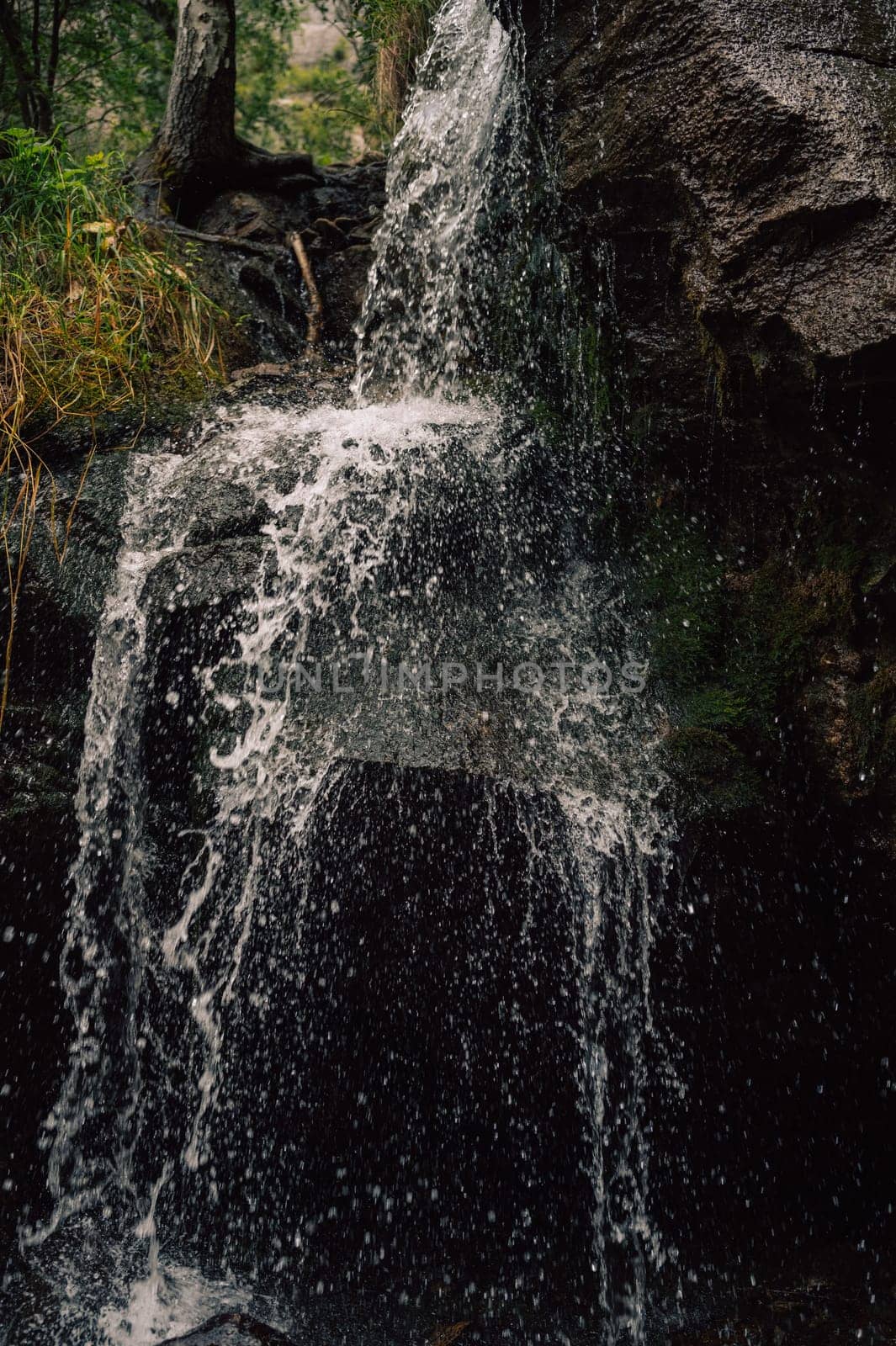Close-up of a small waterfall flowing over a rocky cliff surrounded by lush greenery, serene natural landscape.