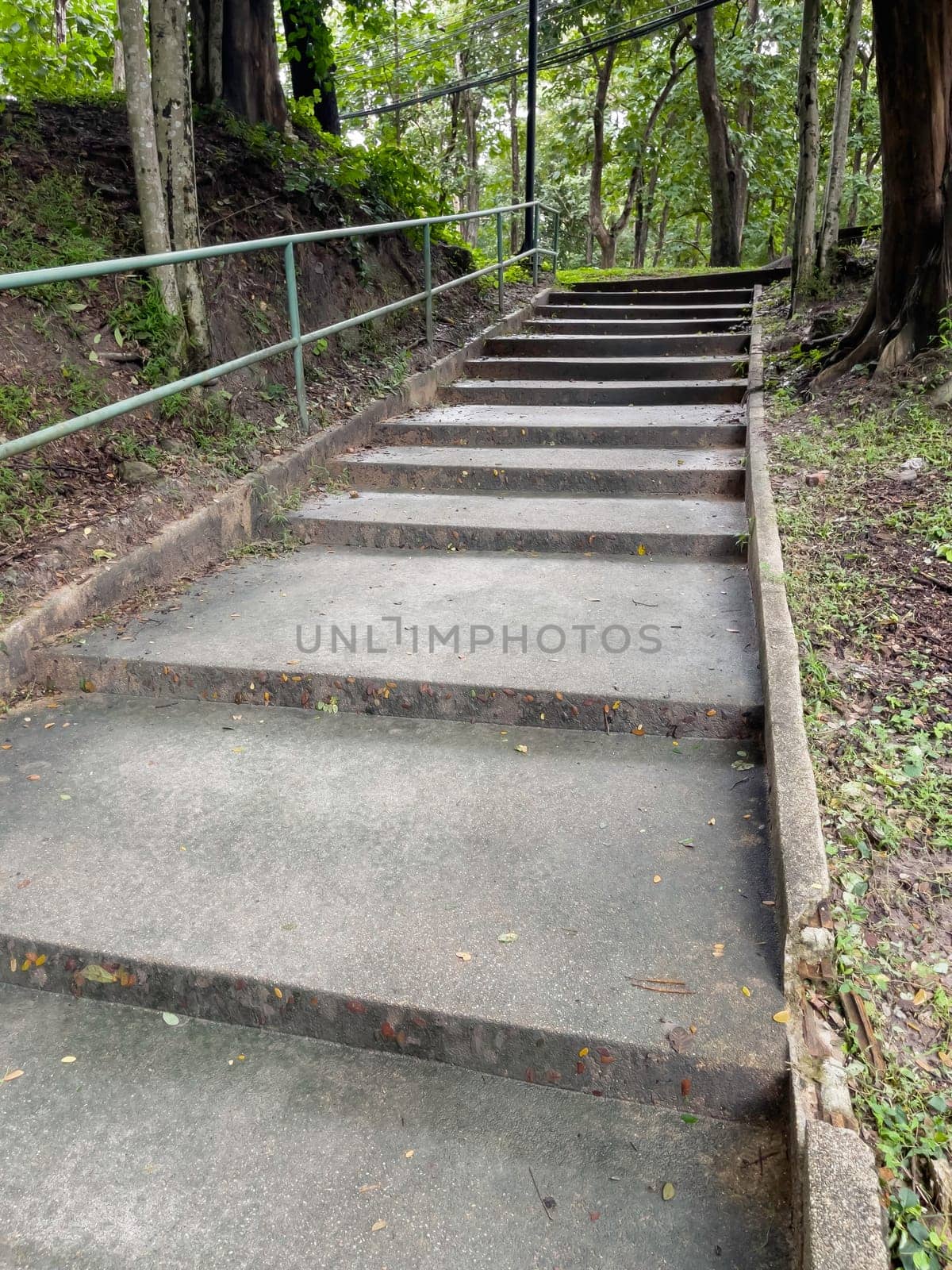 A beautiful tropical public park in the city, stock photo