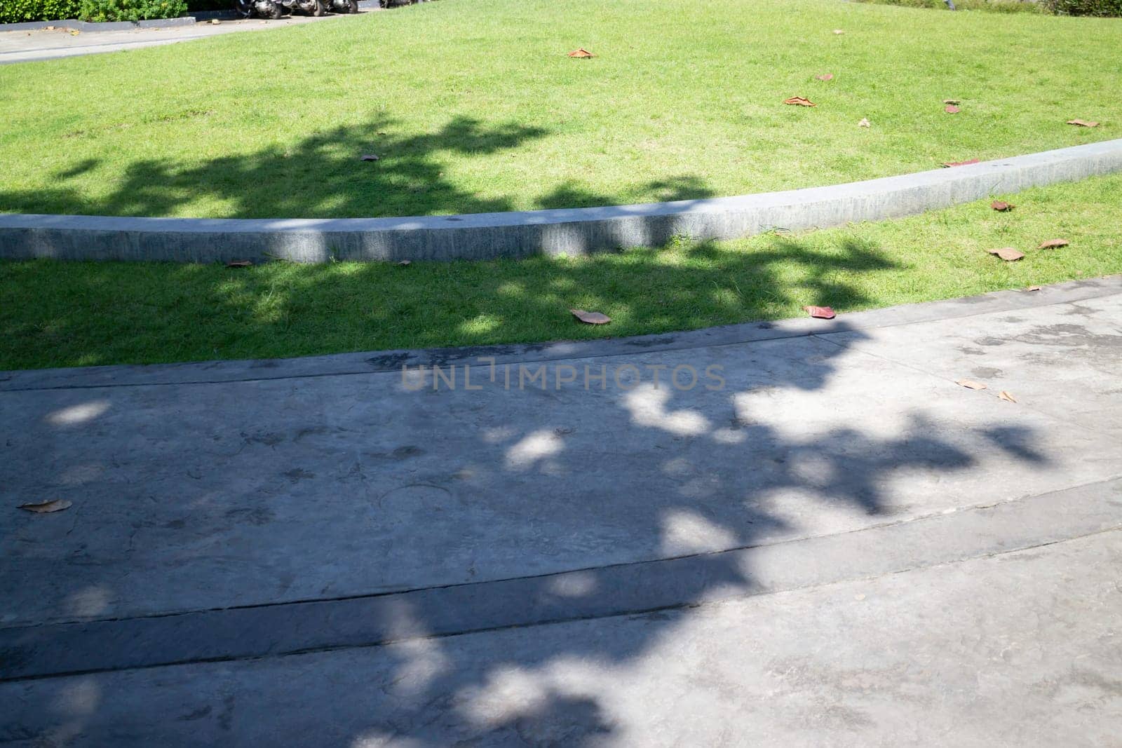 A beautiful tropical public park in the city, stock photo