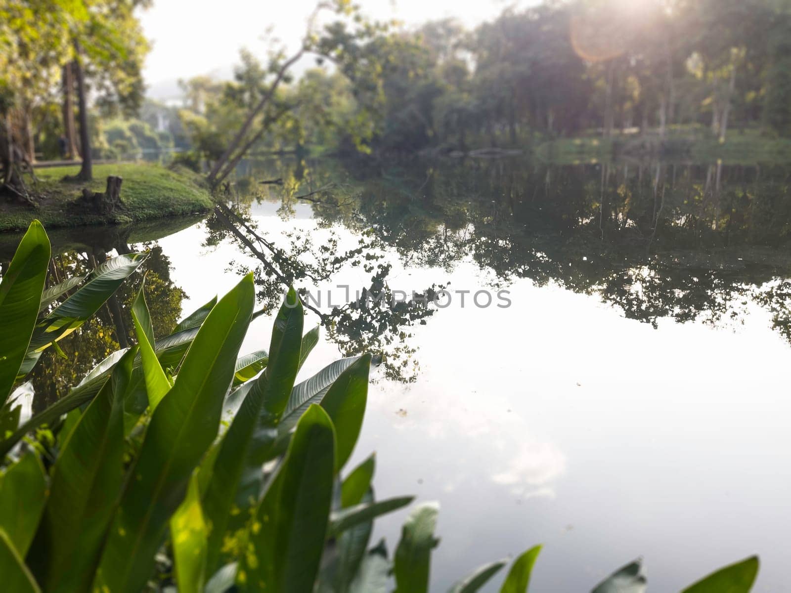 Landscape summer season in the public park, stock photo
