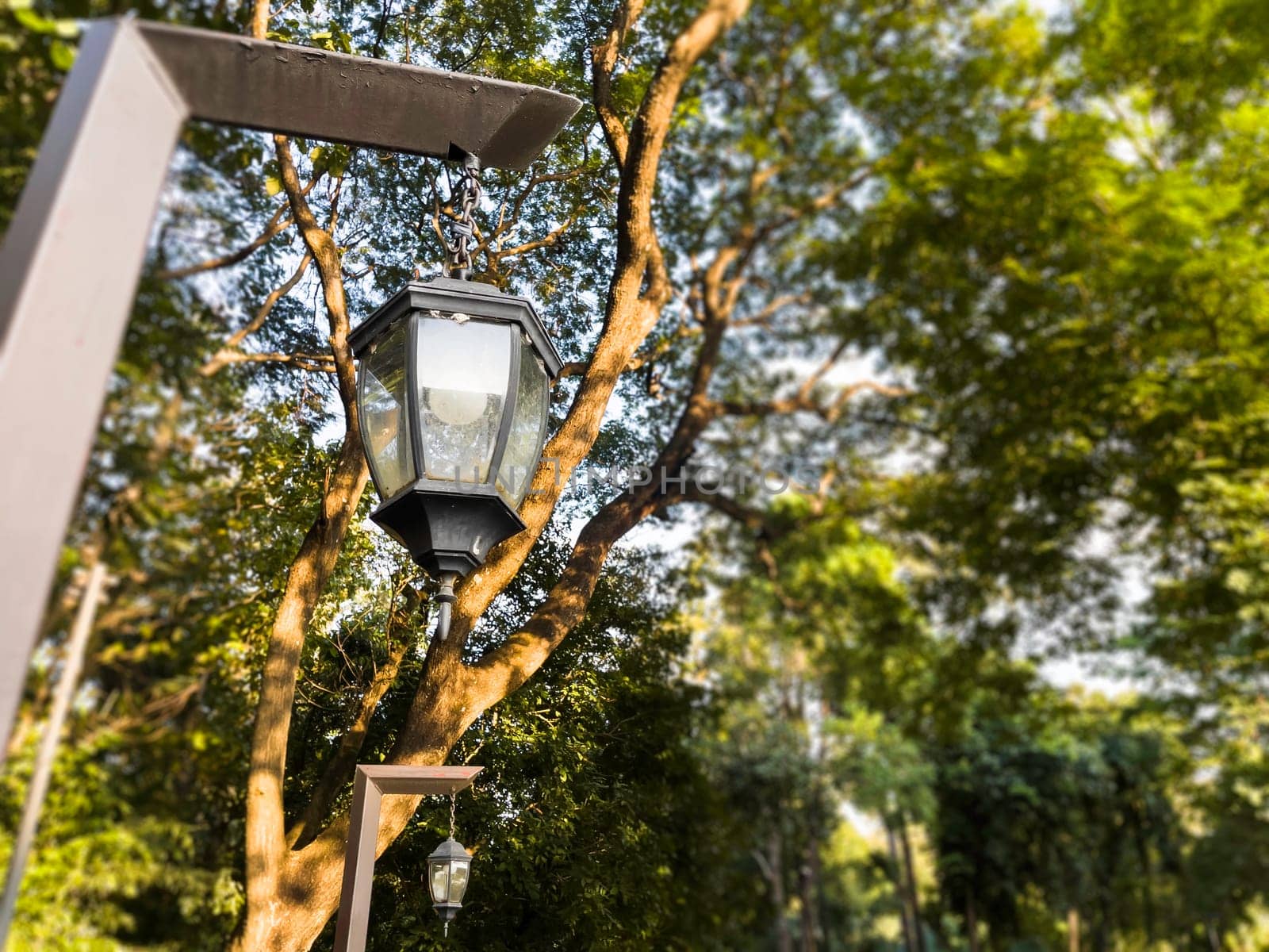 Landscape summer season in the public park, stock photo