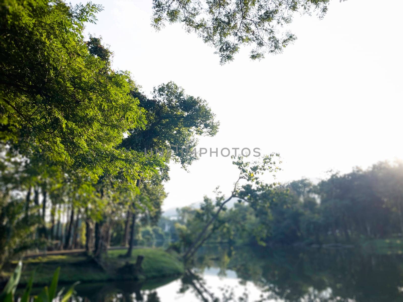Landscape summer season in the public park, stock photo