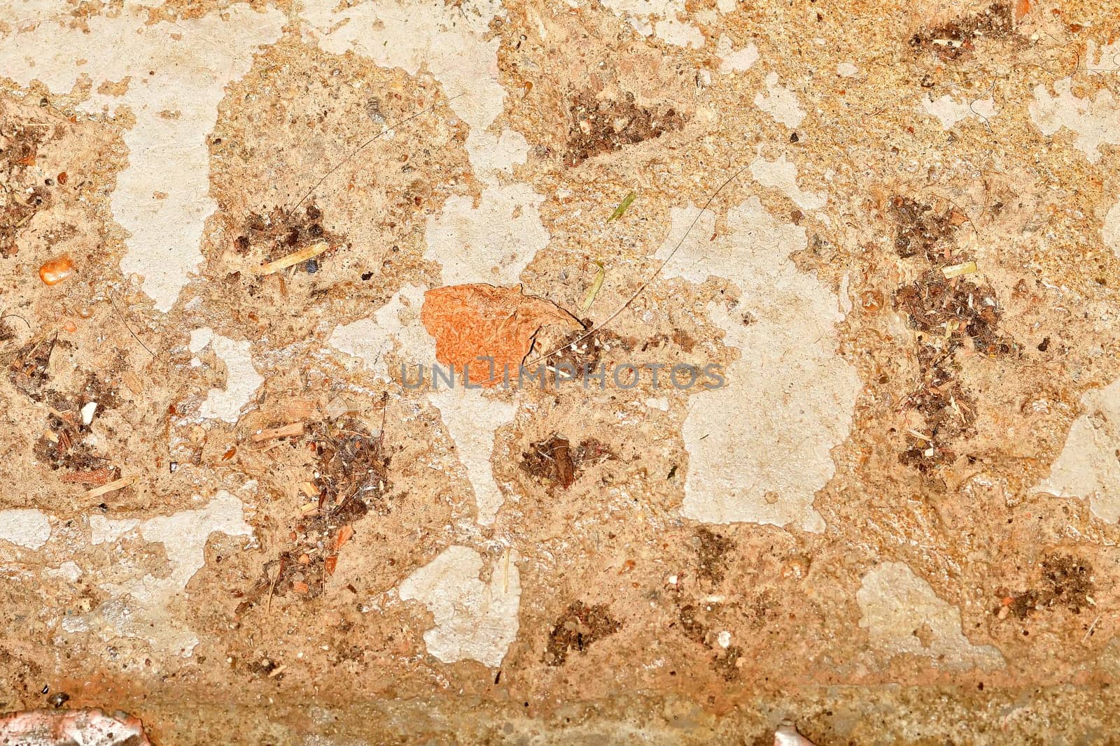 old worn cellar floor in a closeup