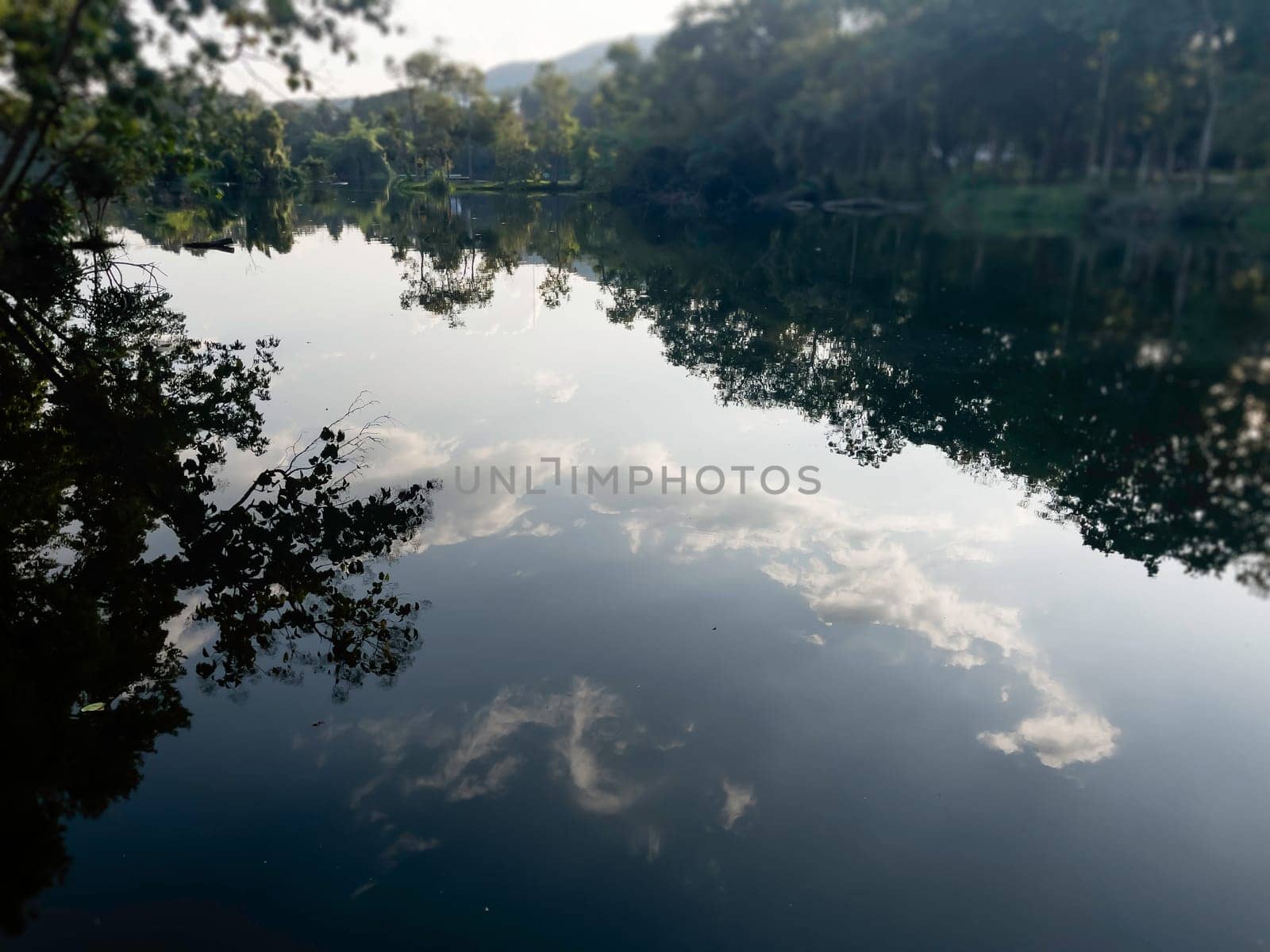 Landscape summer season in the public park, stock photo