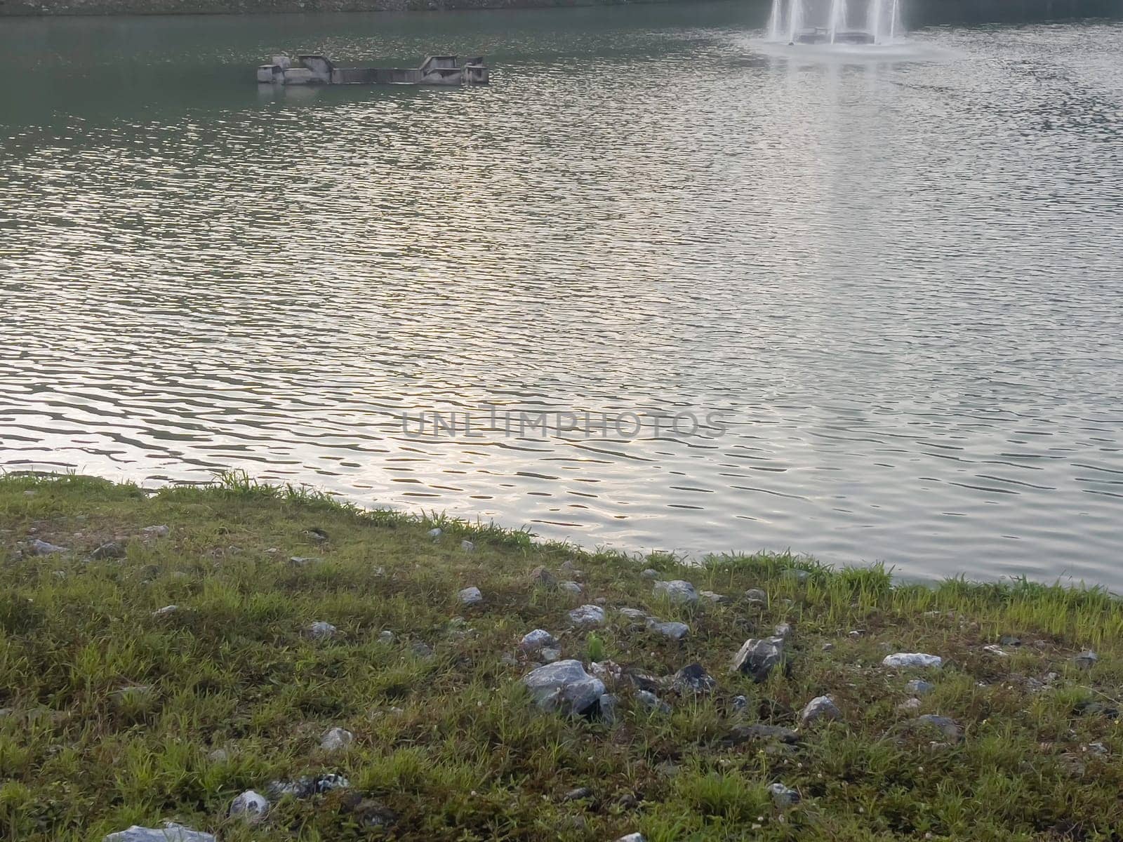 Landscape summer season in the public park, stock photo