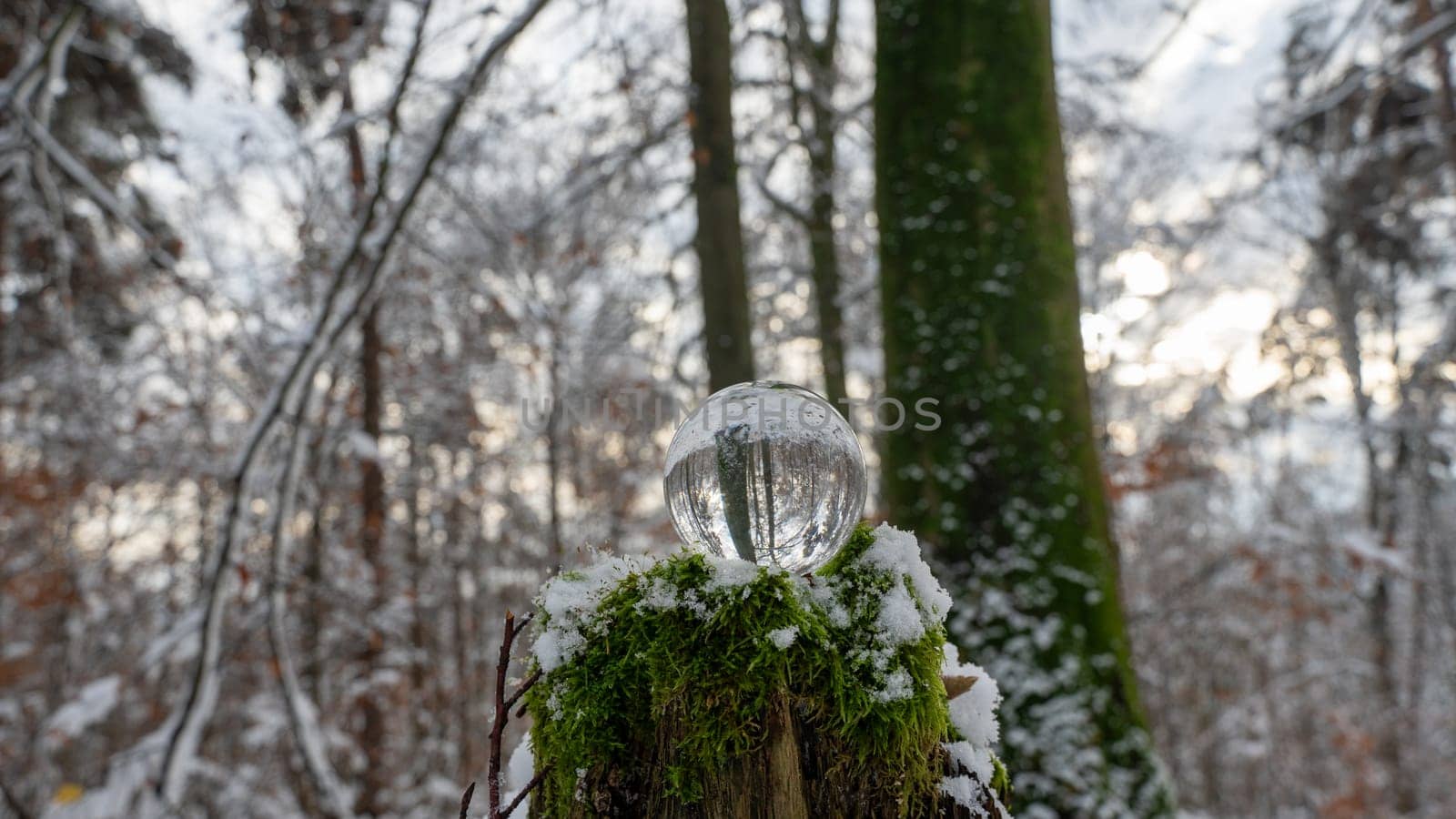 Glass ball on snow-covered rotten tree stump on a cold winter day in the forest, with reflections of trees in the glass