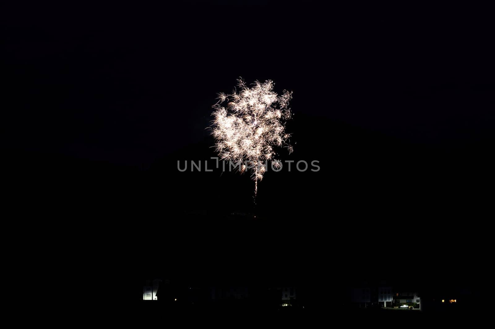 A firework rocket in the sky on a mountain at night, a few illuminated houses in the foreground,A firework rocket in the sky on a mountain at night, a few illuminated houses in the foreground