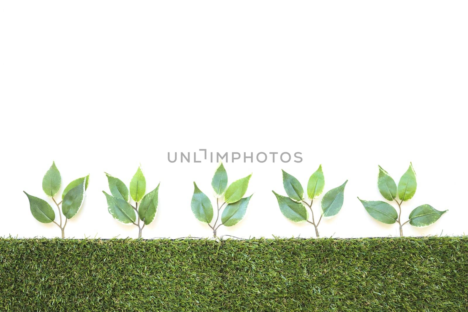 row of artificial branches . Resolution and high quality beautiful photo