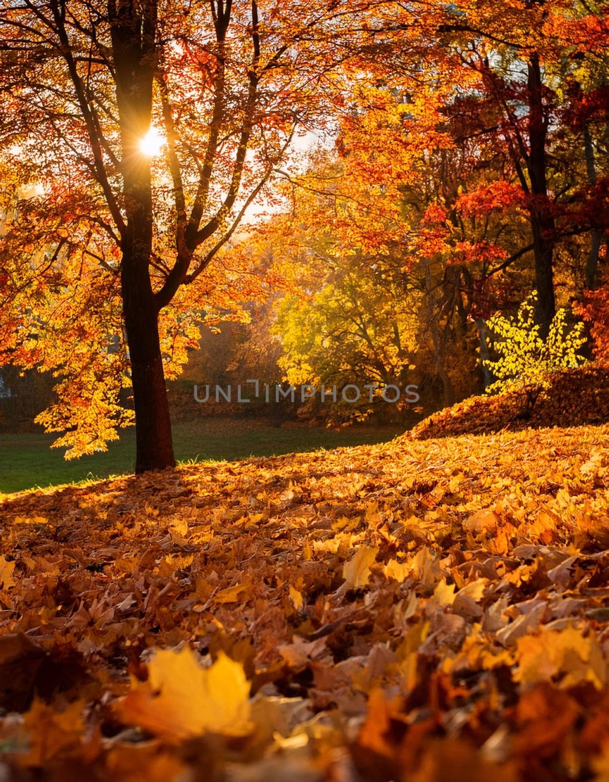brown fallen leaves background, AI generated image