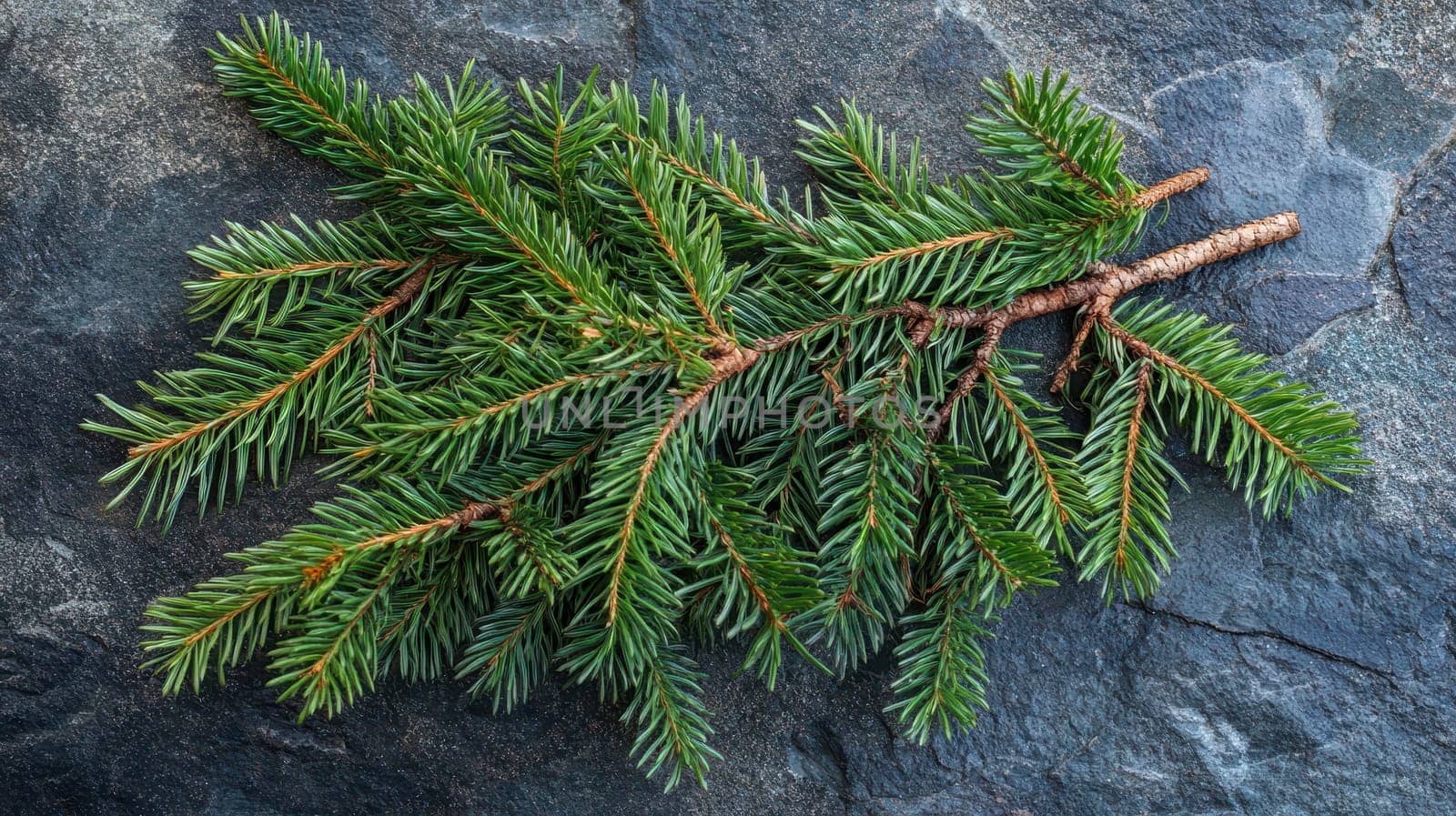 A fresh evergreen branch rests on a dark stone surface symbolizing the joy and beauty of the Christmas season in a natural setting.