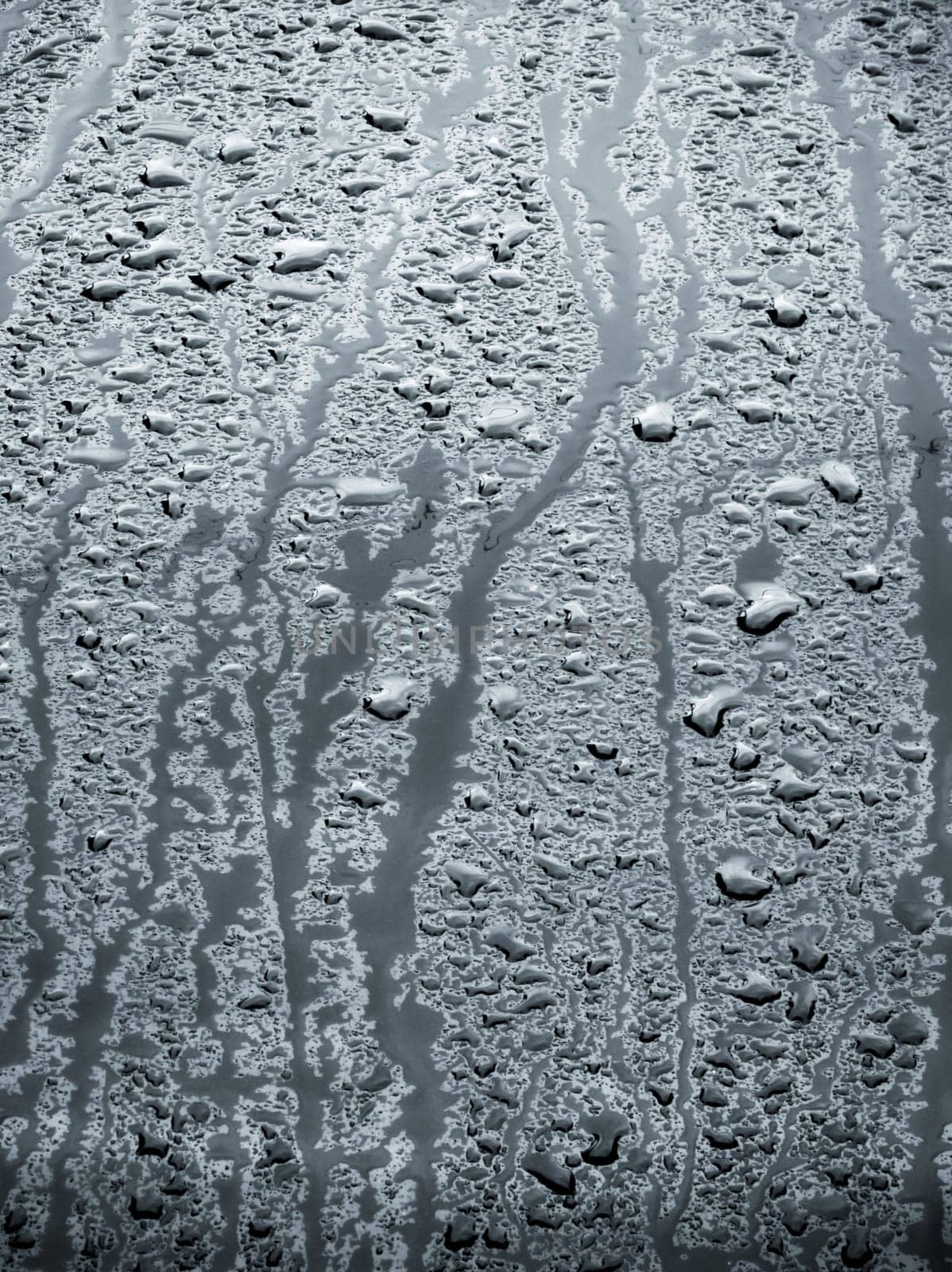 rain water drops on a bonnet of a black car during rainy day, full-frame closeup view