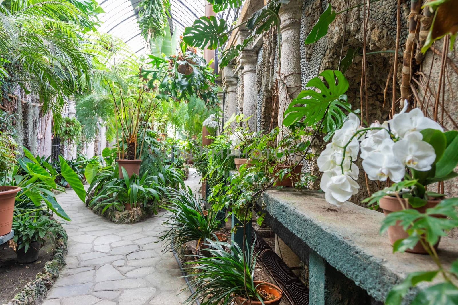 Greenhouse interior with plant and flower cultivation. Green gardening, nobody