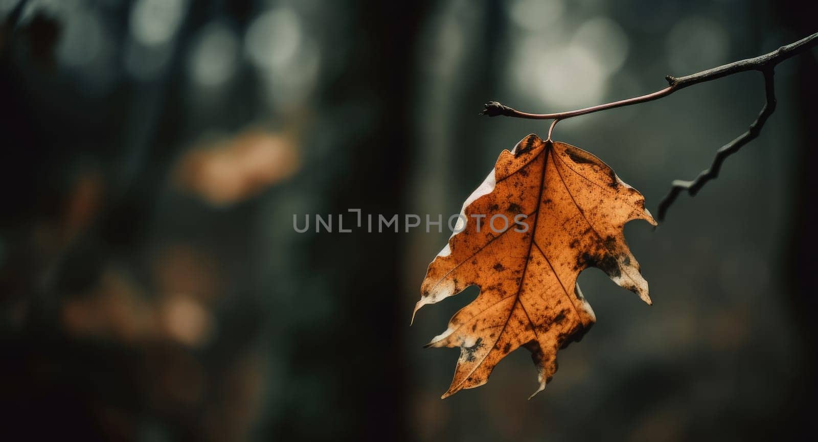 A withered leaf - AI generated