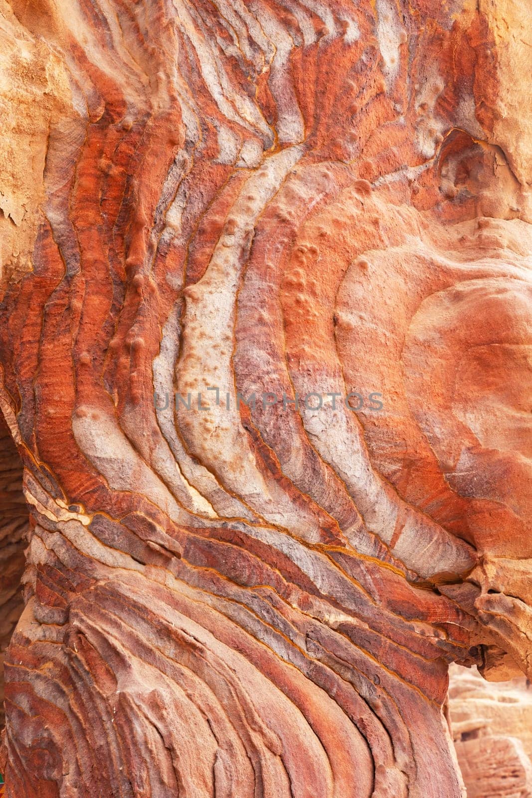 Natural background from the rock. Siq canyon in Petra, Jordan. Vertically.