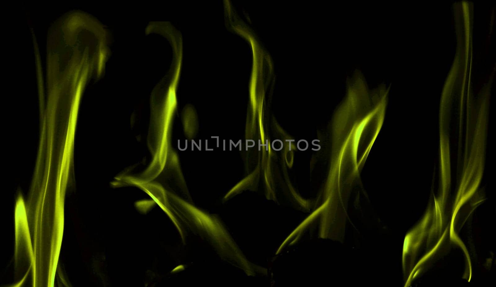 Various flames from a fire in green against a black background