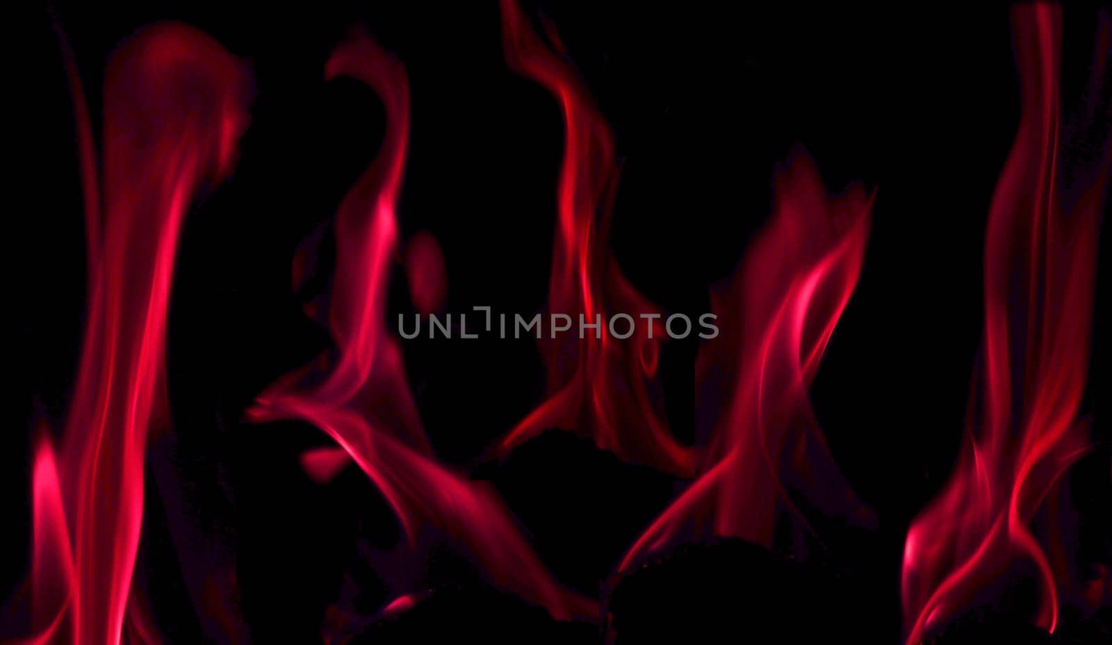 Various flames from a fire in pink against a black background