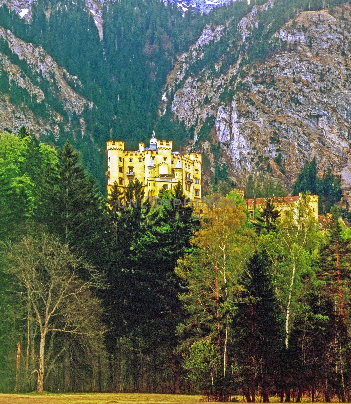 Castle Hohenschwangau, Germany