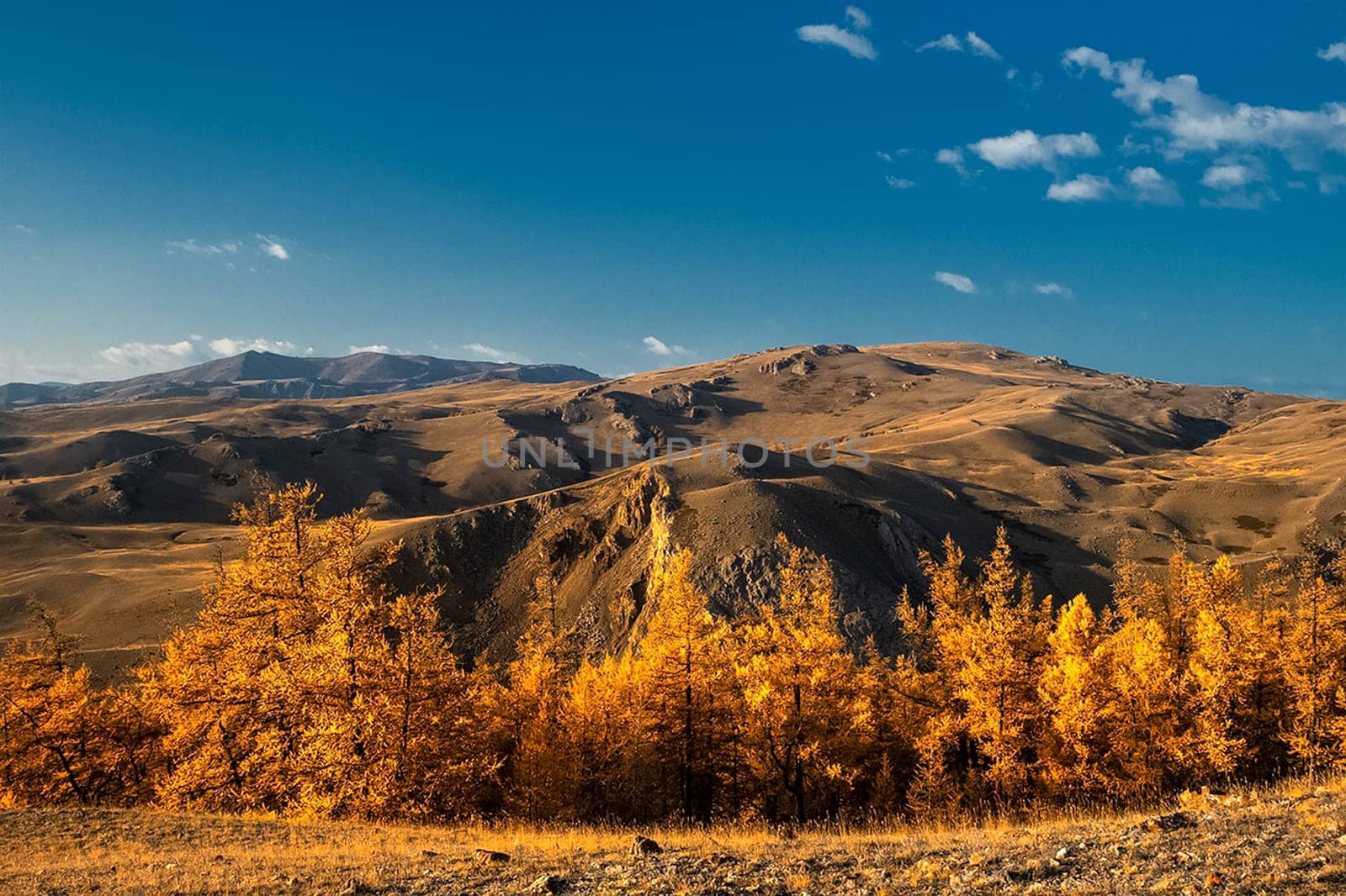 The altai mountains. The landscape of nature on the Altai mountains and in the gorges between the mountains.