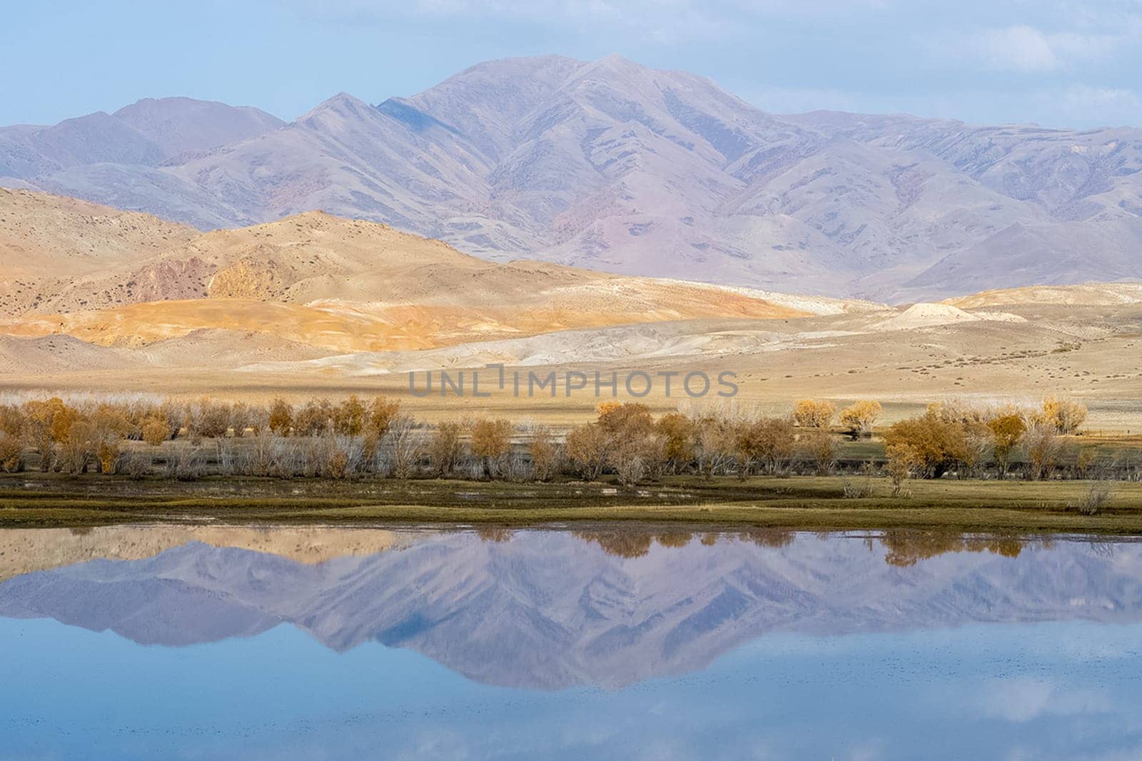 The altai mountains. The landscape of nature on the Altai mountains and in the gorges between the mountains.
