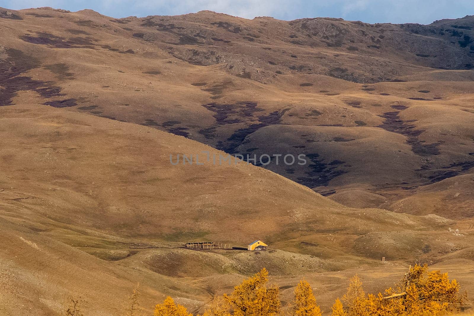 The altai mountains. The landscape of nature on the Altai mountains and in the gorges between the mountains.