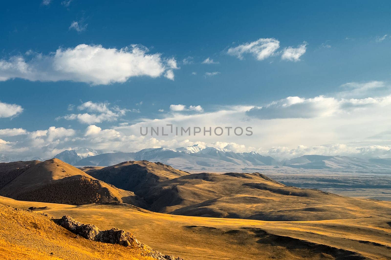 The altai mountains. The landscape of nature on the Altai mountains and in the gorges between the mountains.