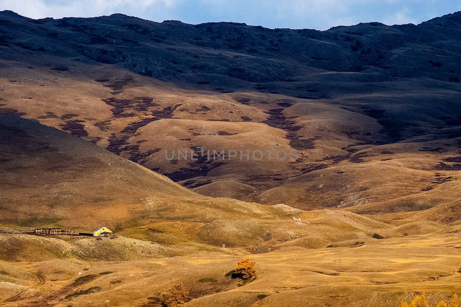 The altai mountains. The landscape of nature on the Altai mountains and in the gorges between the mountains.